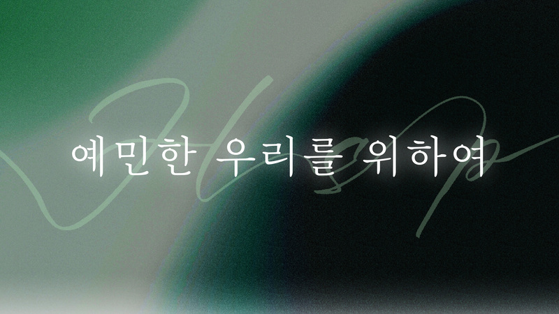 예민한 우리를 위하여